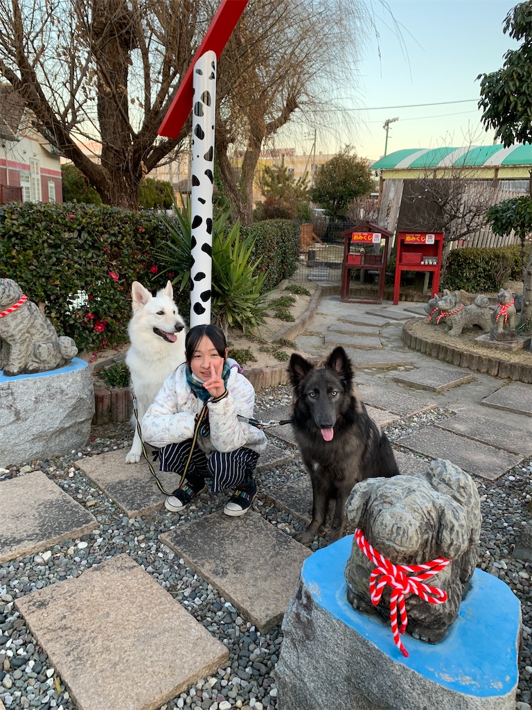 f:id:Lien0927:20210110012642j:image