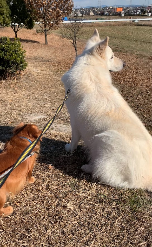 f:id:Lien0927:20210110013158j:image