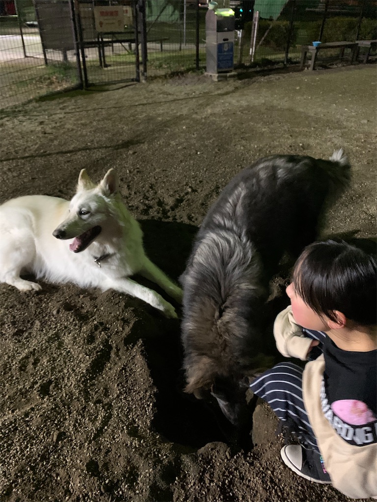 f:id:Lien0927:20210110013204j:image