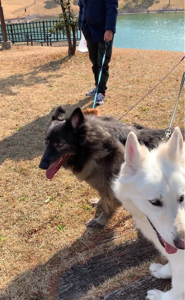 f:id:Lien0927:20230207102302j:image f:id:Lien0927:20230207102302j:image
