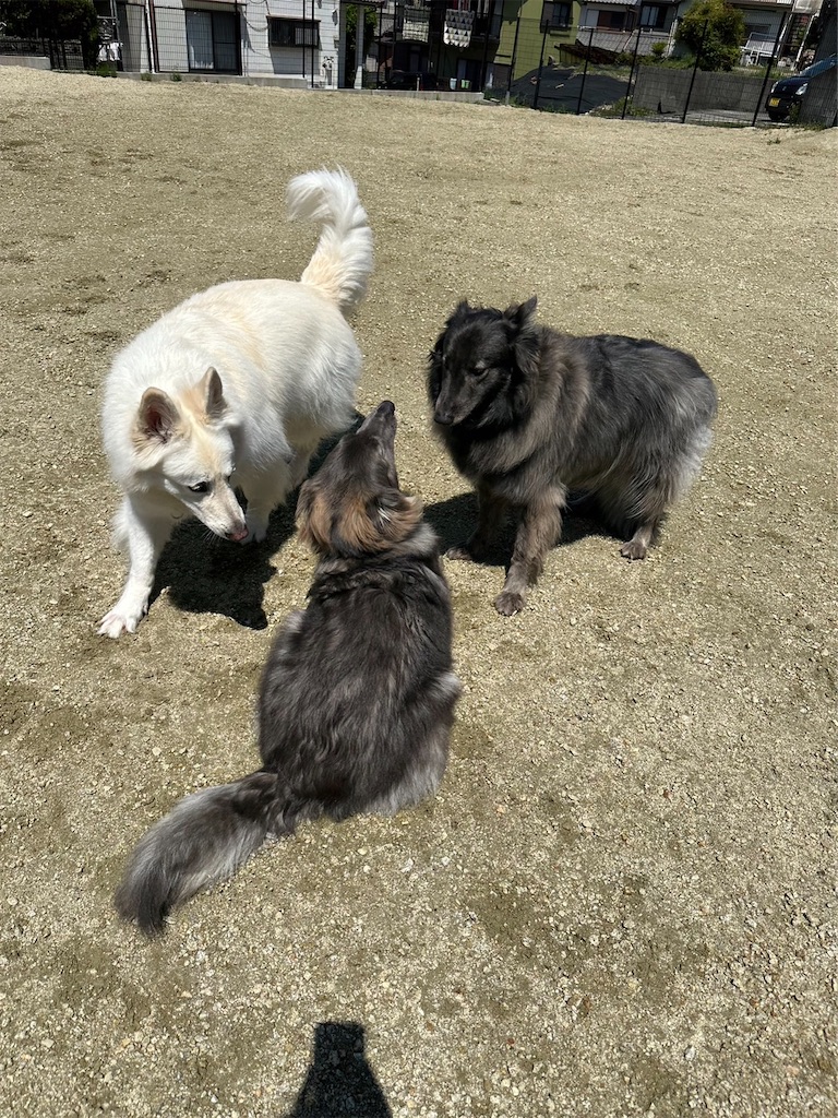 f:id:Lien0927:20230430080906j:image