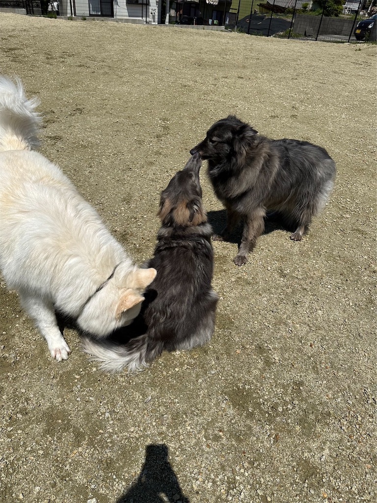 f:id:Lien0927:20230430080909j:image