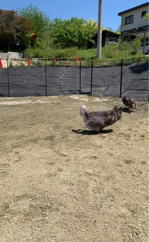 f:id:Lien0927:20230430081222j:image