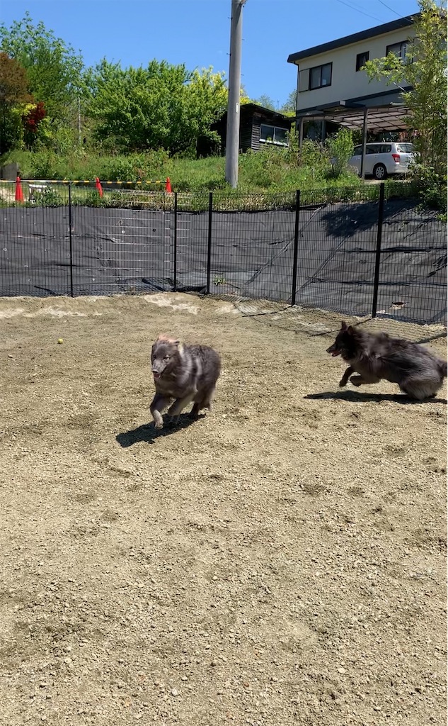 f:id:Lien0927:20230430081225j:image