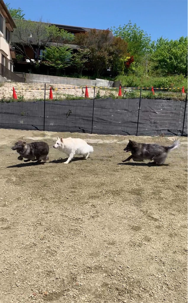 f:id:Lien0927:20230430081240j:image