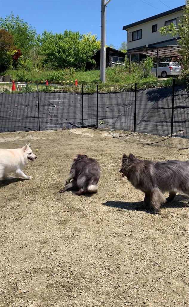 f:id:Lien0927:20230430081248j:image