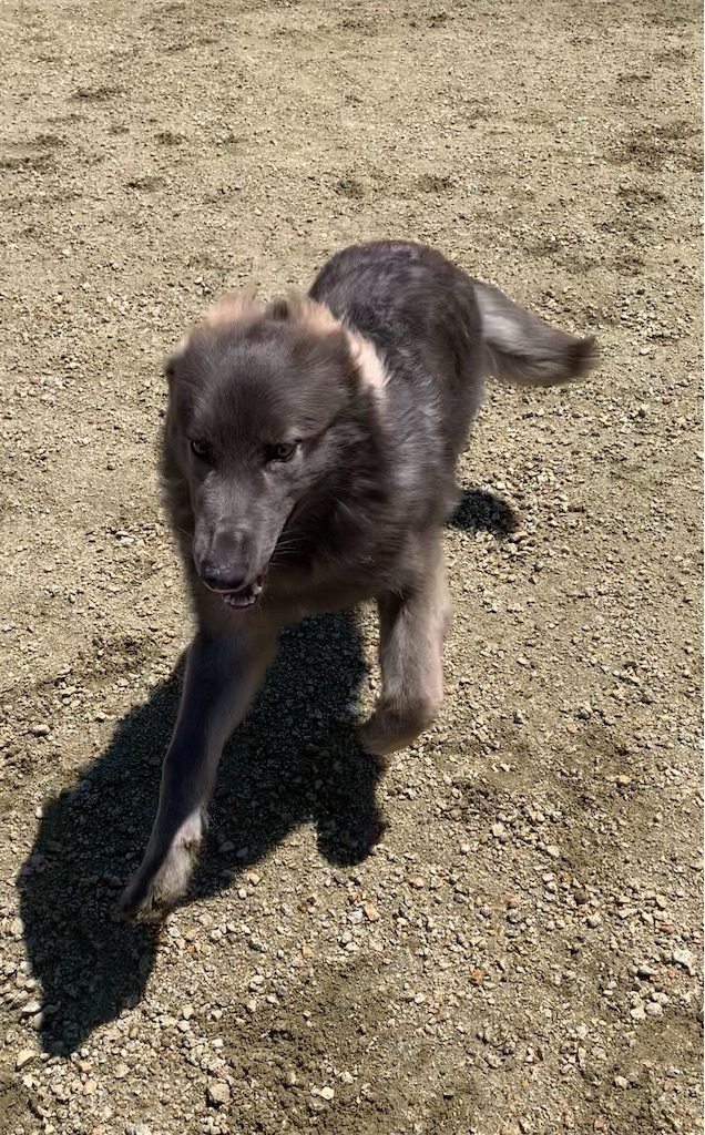 f:id:Lien0927:20230430081504j:image