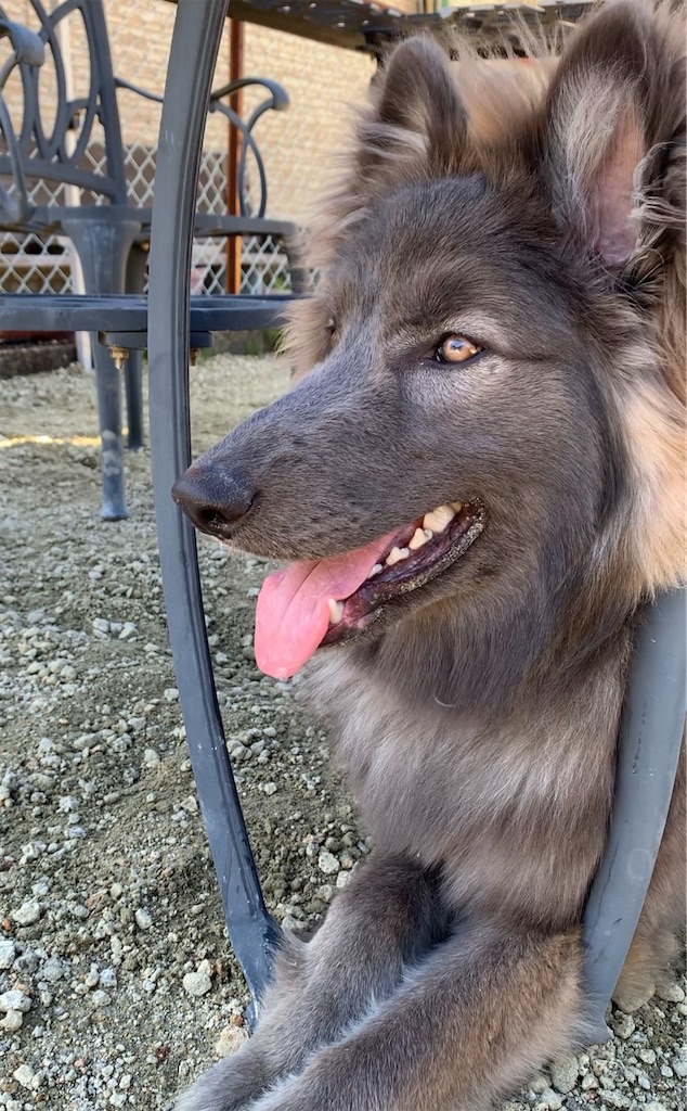 f:id:Lien0927:20230430081507j:image