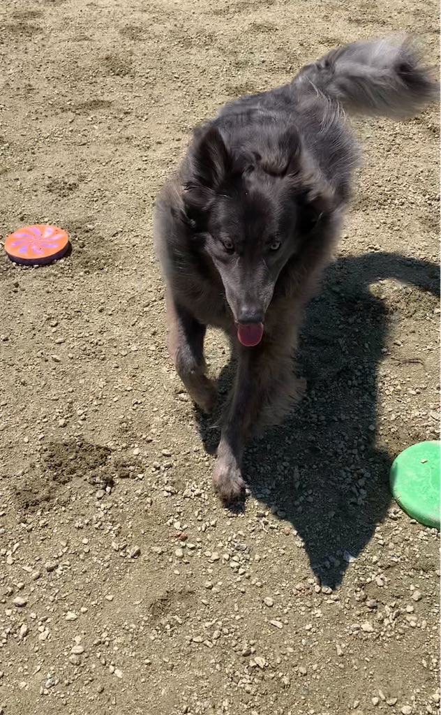 f:id:Lien0927:20230430081946j:image