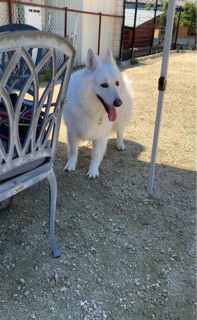 f:id:Lien0927:20230430081952j:image