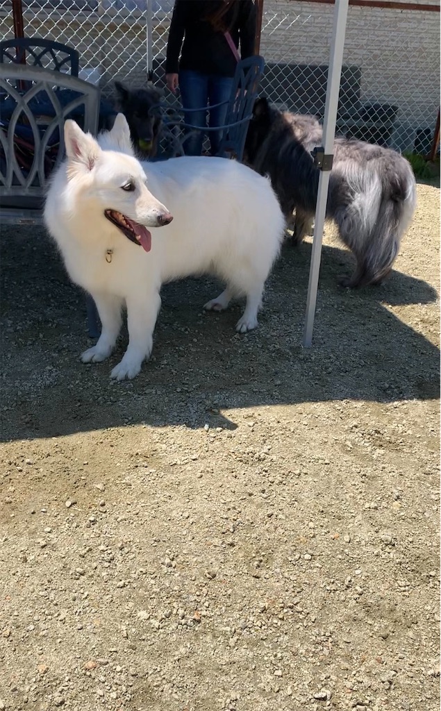 f:id:Lien0927:20230430081955j:image