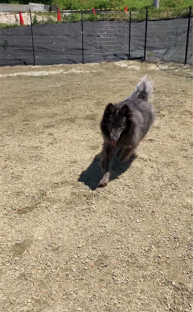 f:id:Lien0927:20230430081958j:image