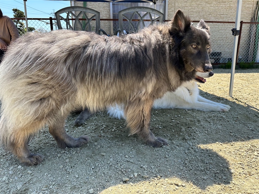 f:id:Lien0927:20230430082000j:image