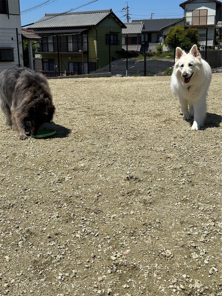 f:id:Lien0927:20230430082012j:image