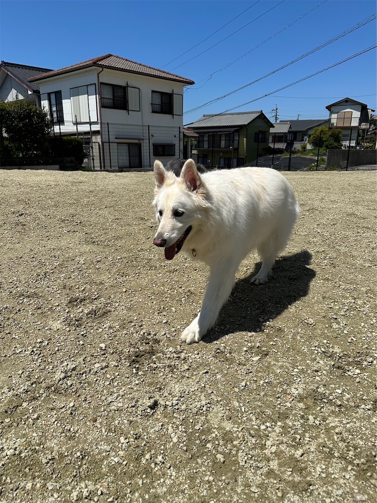 f:id:Lien0927:20230430082015j:image