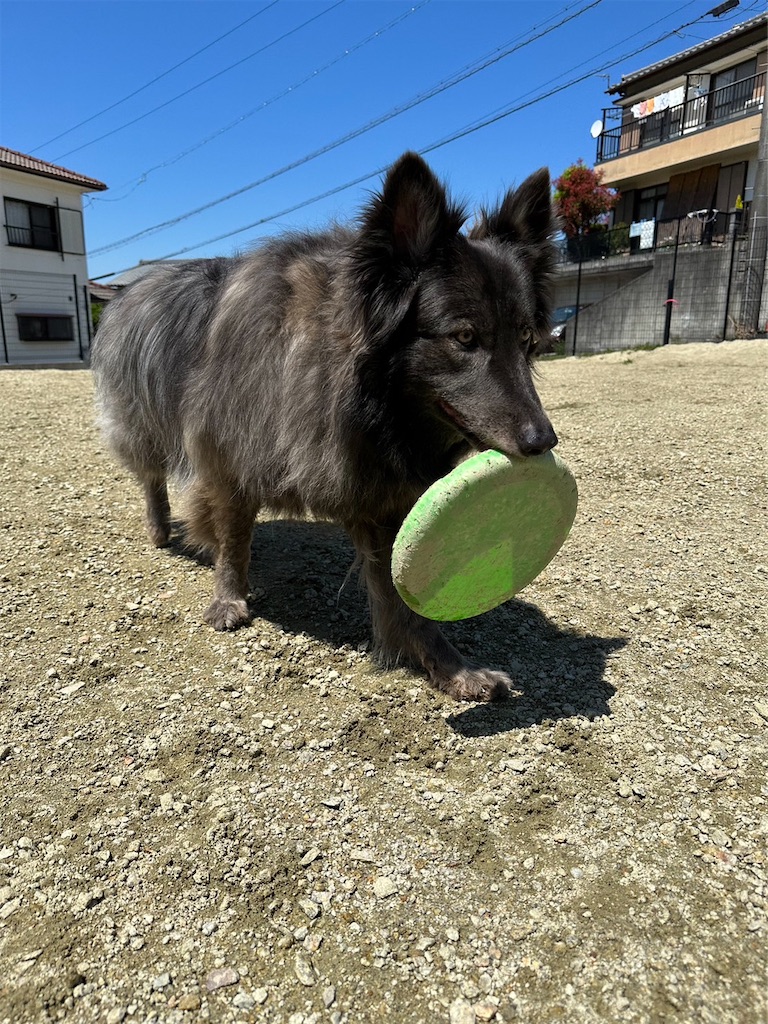 f:id:Lien0927:20230430082018j:image