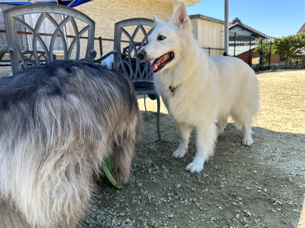 f:id:Lien0927:20230430082021j:image