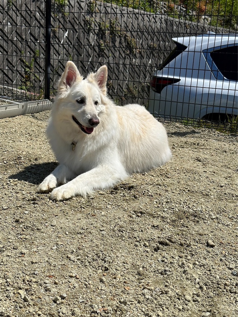 f:id:Lien0927:20230430082024j:image