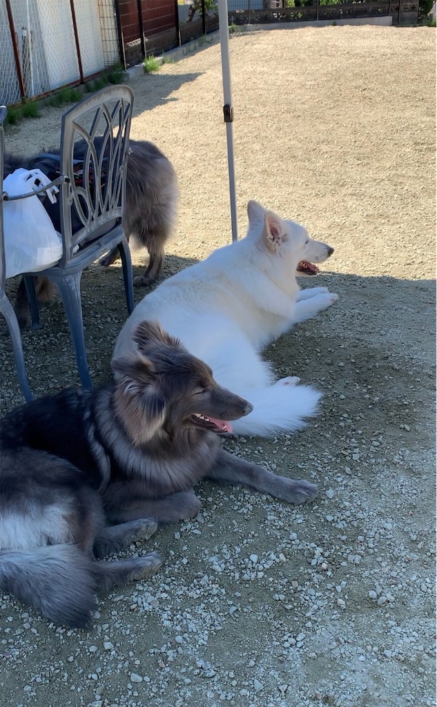 f:id:Lien0927:20230430082217j:image