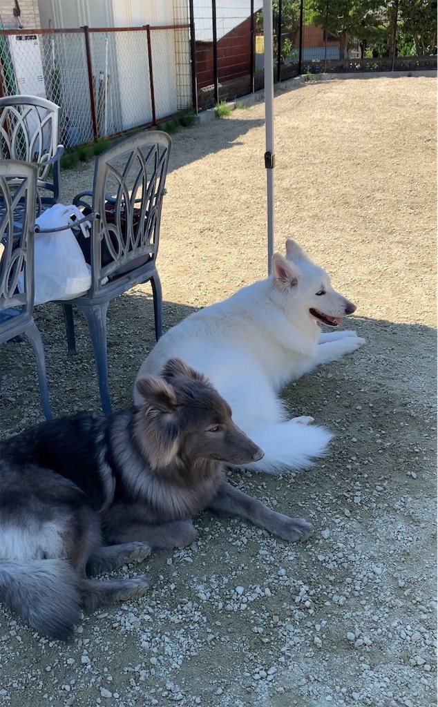 f:id:Lien0927:20230430082219j:image