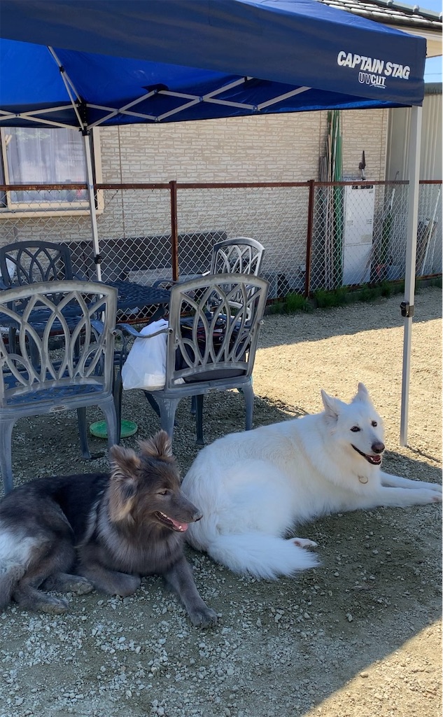 f:id:Lien0927:20230430082227j:image