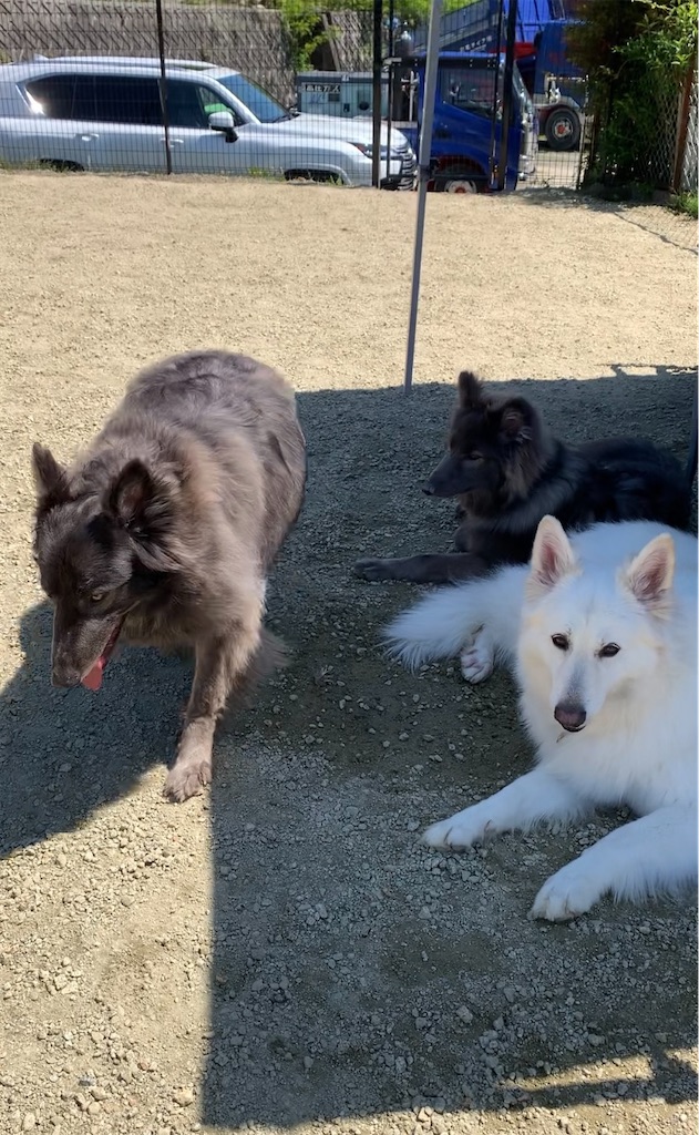 f:id:Lien0927:20230430082233j:image