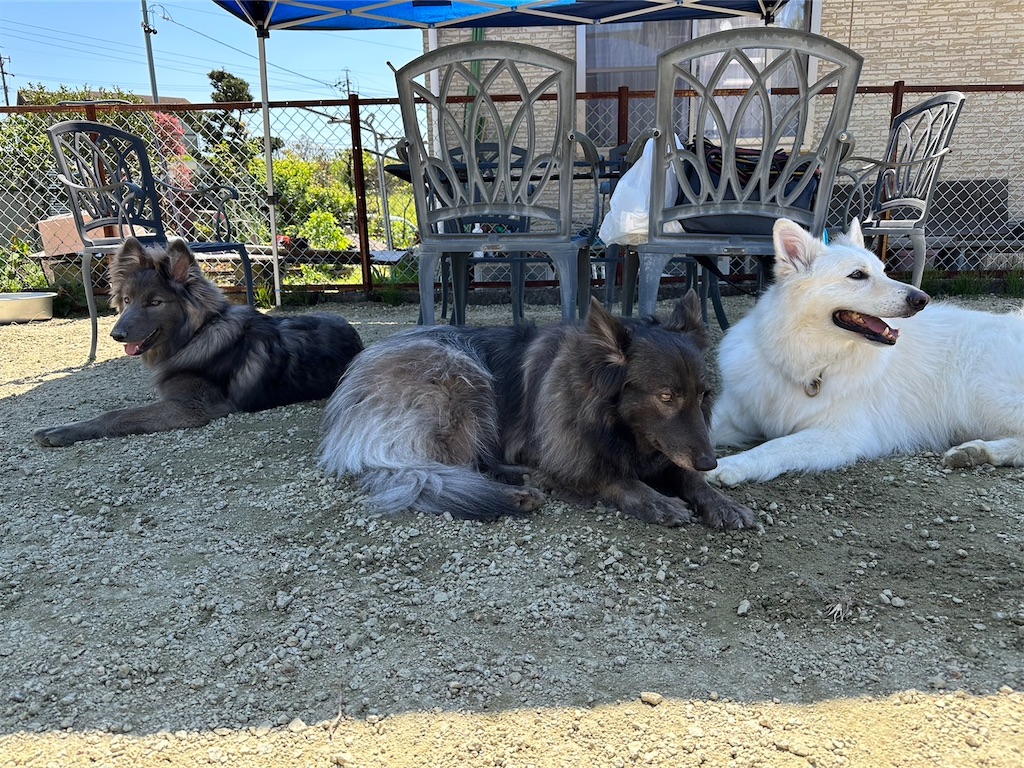 f:id:Lien0927:20230430082238j:image