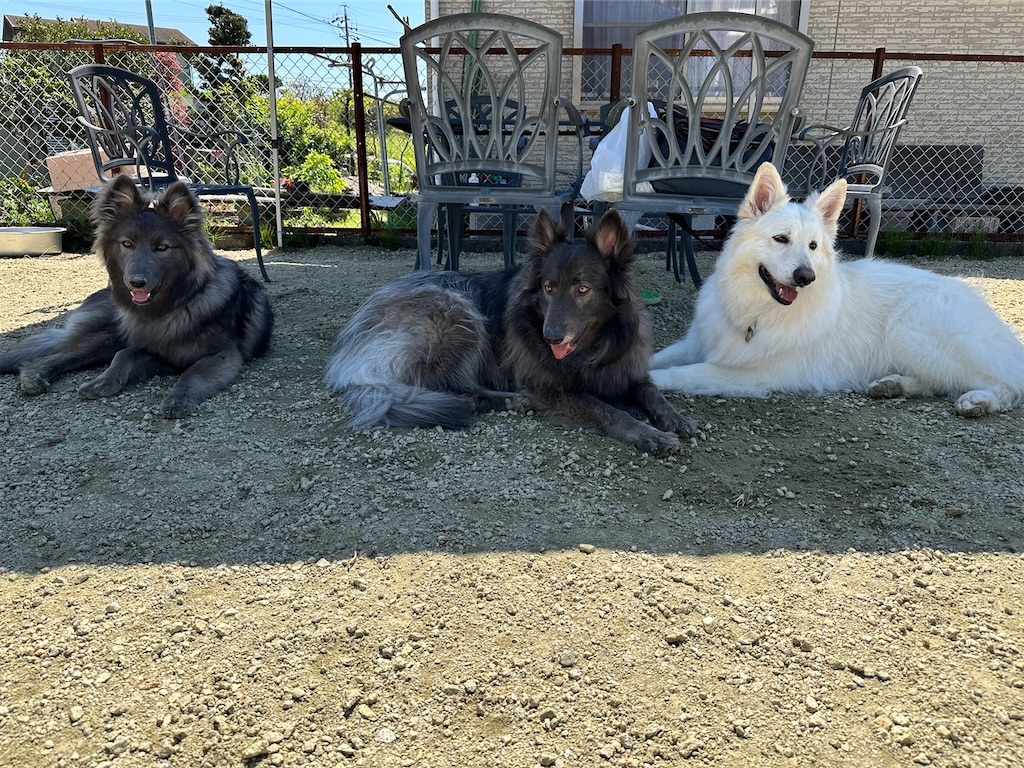 f:id:Lien0927:20230430082247j:image