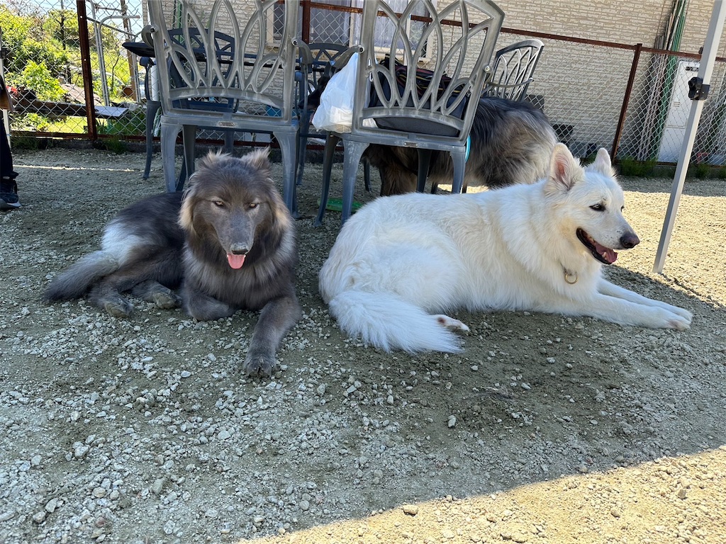 f:id:Lien0927:20230430082255j:image