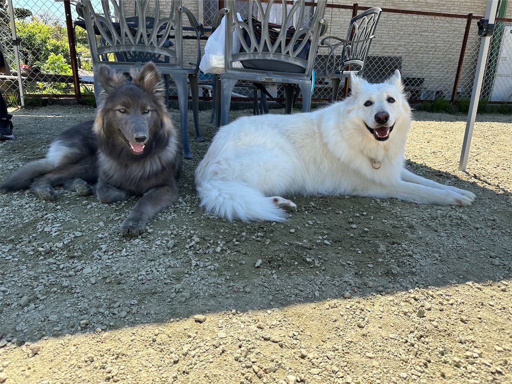 f:id:Lien0927:20230430082301j:image