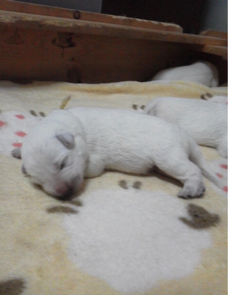f:id:Lien0927:20231001004207j:image f:id:Lien0927:20231001004207j:image