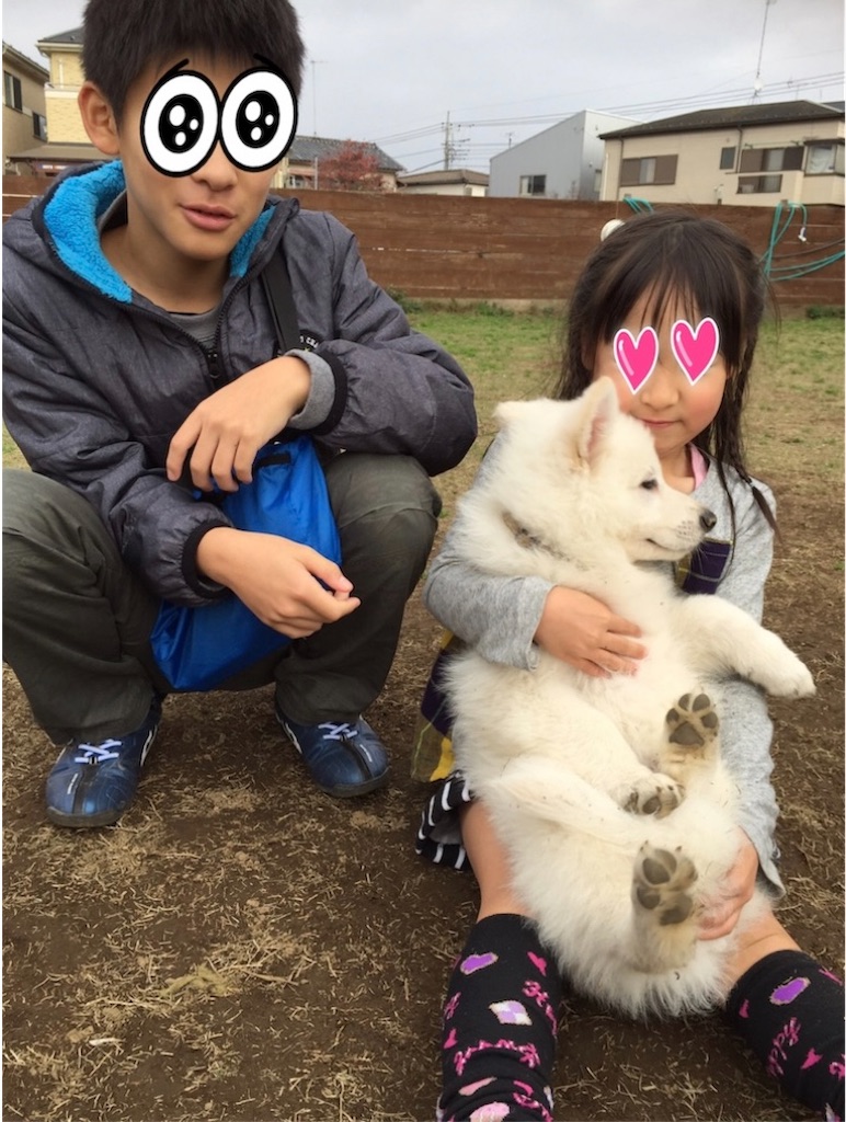f:id:Lien0927:20231001004213j:image f:id:Lien0927:20231001004213j:image
