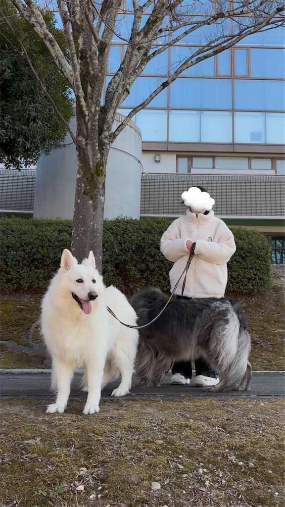 f:id:Lien0927:20250228083153j:image f:id:Lien0927:20250228083153j:image