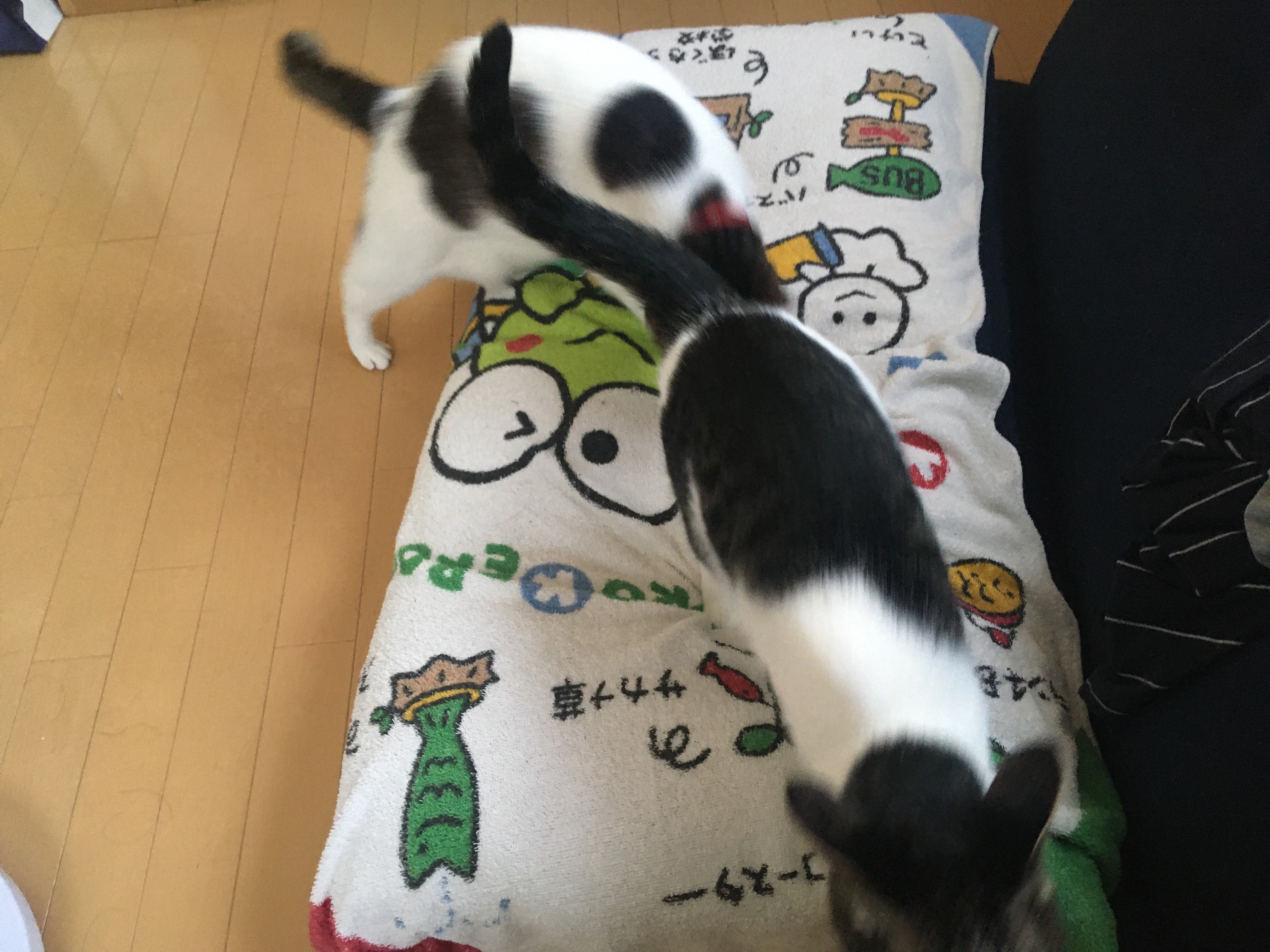 f:id:Lietome:20200710130709j:image f:id:Lietome:20200710130709j:image