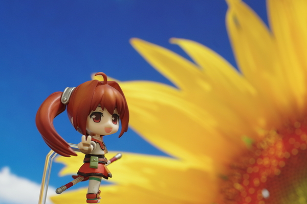 f:id:LifeLike:20130131235031j:image f:id:LifeLike:20130131235031j:image