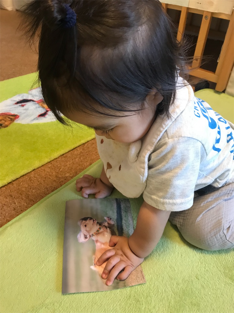 f:id:LifeOfSawako:20190907111848j:image f:id:LifeOfSawako:20190907111848j:image
