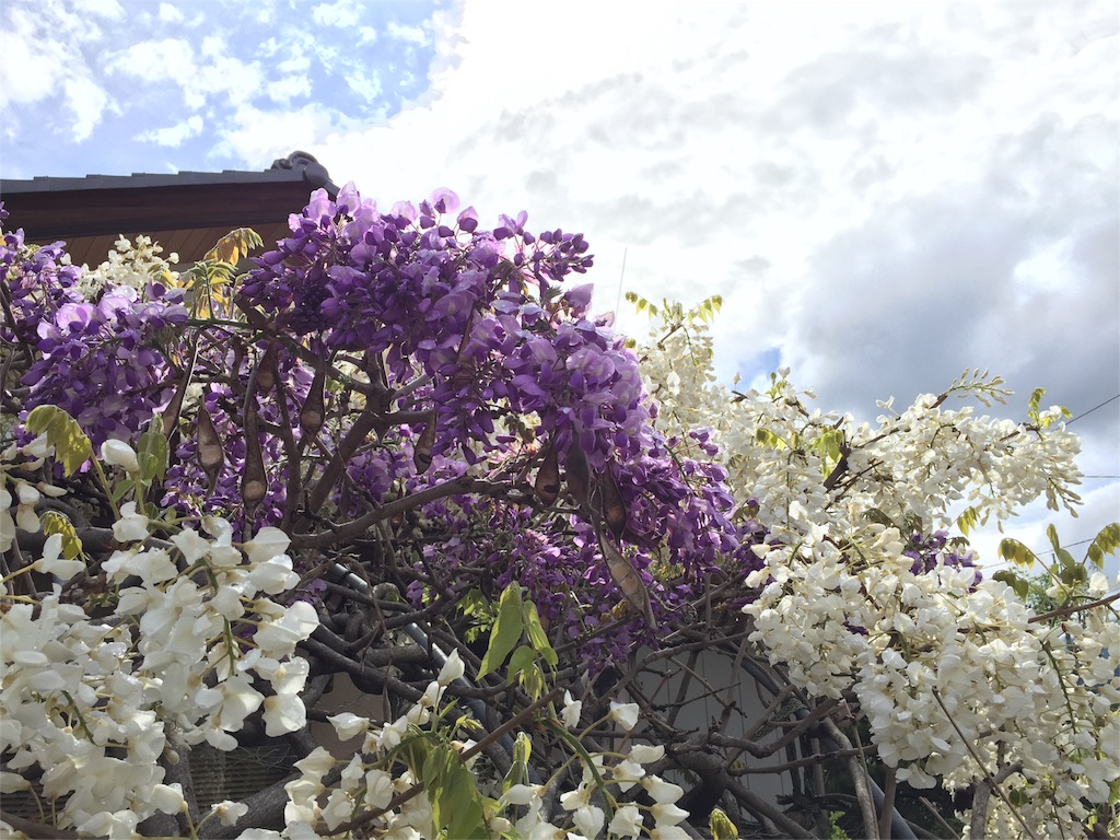 f:id:Life_Takayama:20160515205952j:image f:id:Life_Takayama:20160515205952j:image