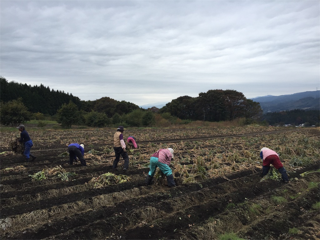 f:id:Life_Takayama:20161027070830j:image f:id:Life_Takayama:20161027070830j:image