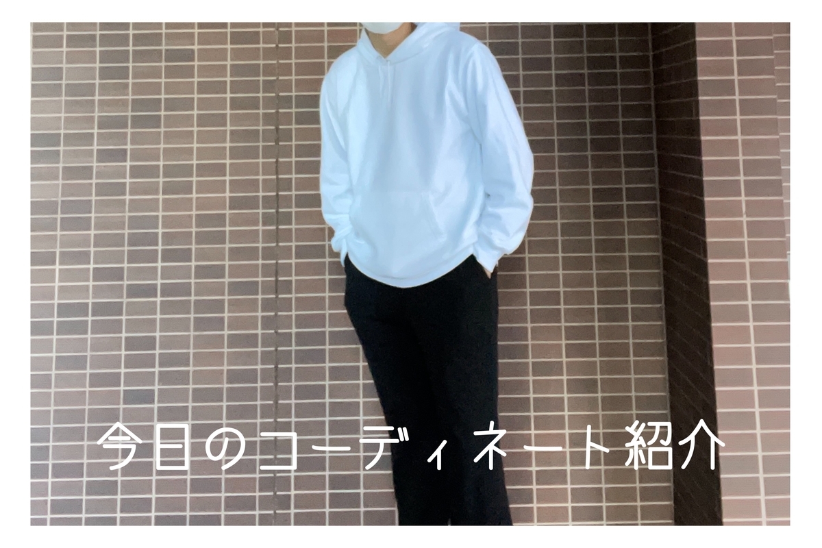 f:id:Life_is_difficult:20211125202754j:plain