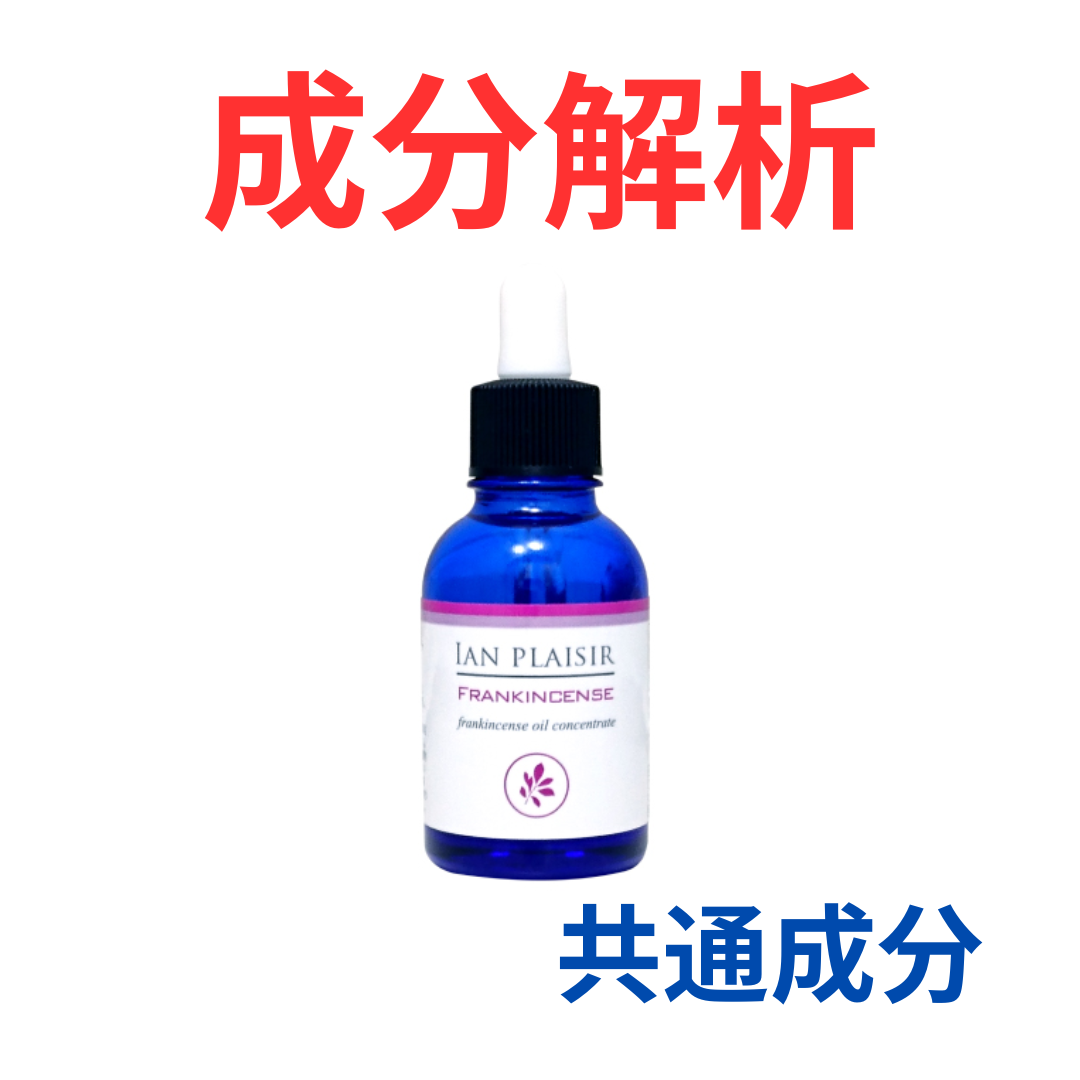 希少カテキン使用 トリートメントオイル（2本セット） 希少カテキン