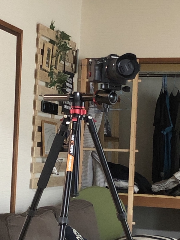 f:id:Lifehackerz:20190721172302j:plain f:id:Lifehackerz:20190721172302j:plain