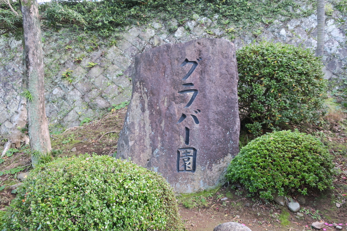 f:id:Lifeisonetime:20200111122502j:plain f:id:Lifeisonetime:20200111122502j:plain