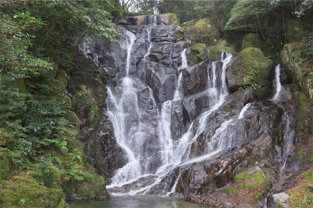 f:id:Lifeisonetime:20200111215921j:image