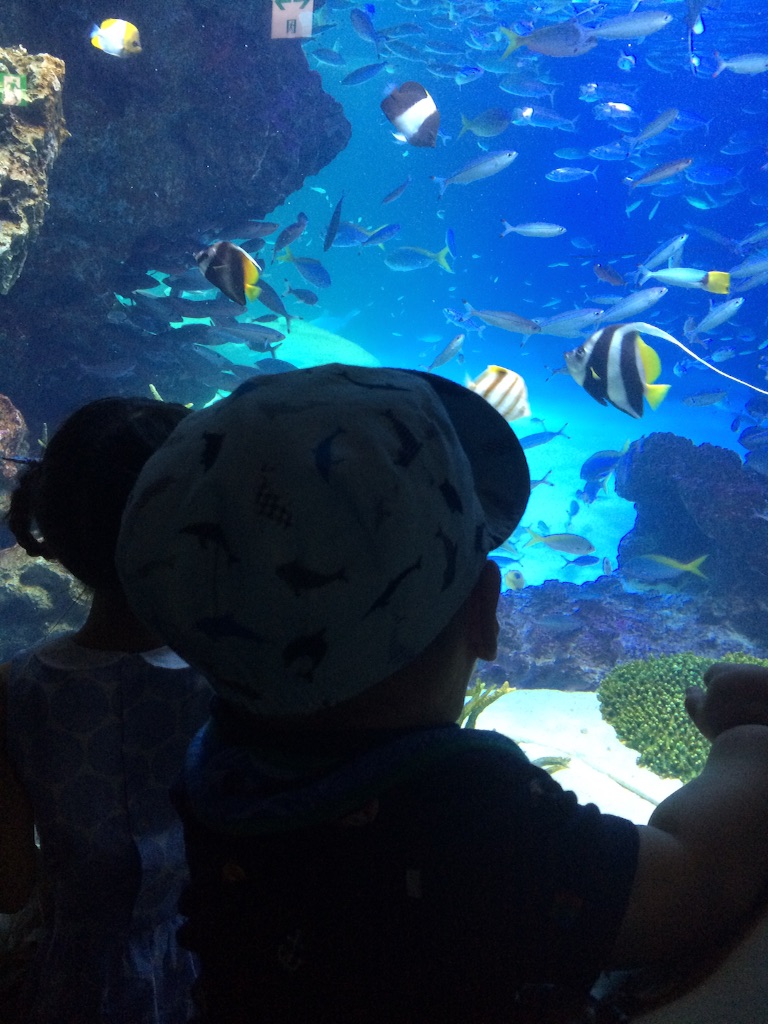 f:id:Light_Lagoon:20160811172610j:image f:id:Light_Lagoon:20160811172610j:image