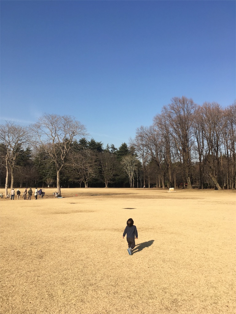 f:id:Light_Lagoon:20180219215739j:image