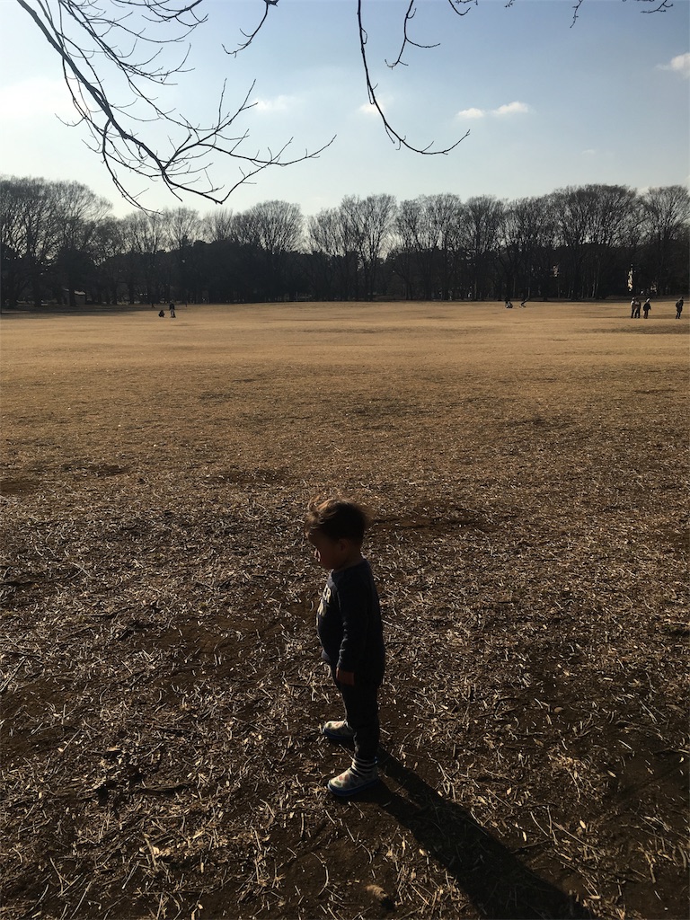 f:id:Light_Lagoon:20180219220007j:image
