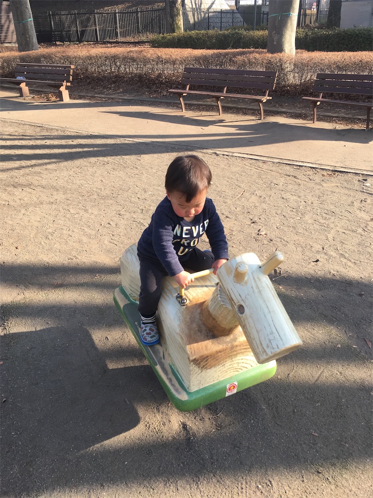 f:id:Light_Lagoon:20180219220203j:image