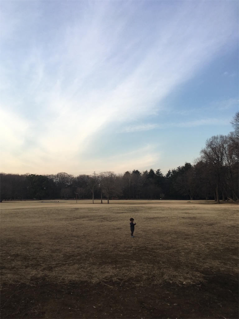 f:id:Light_Lagoon:20180219220401j:image