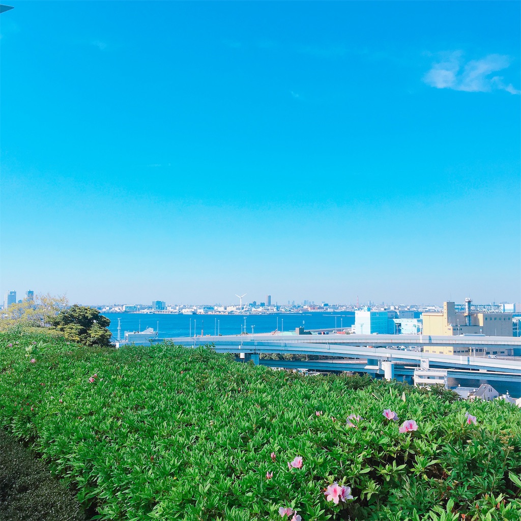 f:id:Liiliya:20190416235641j:image