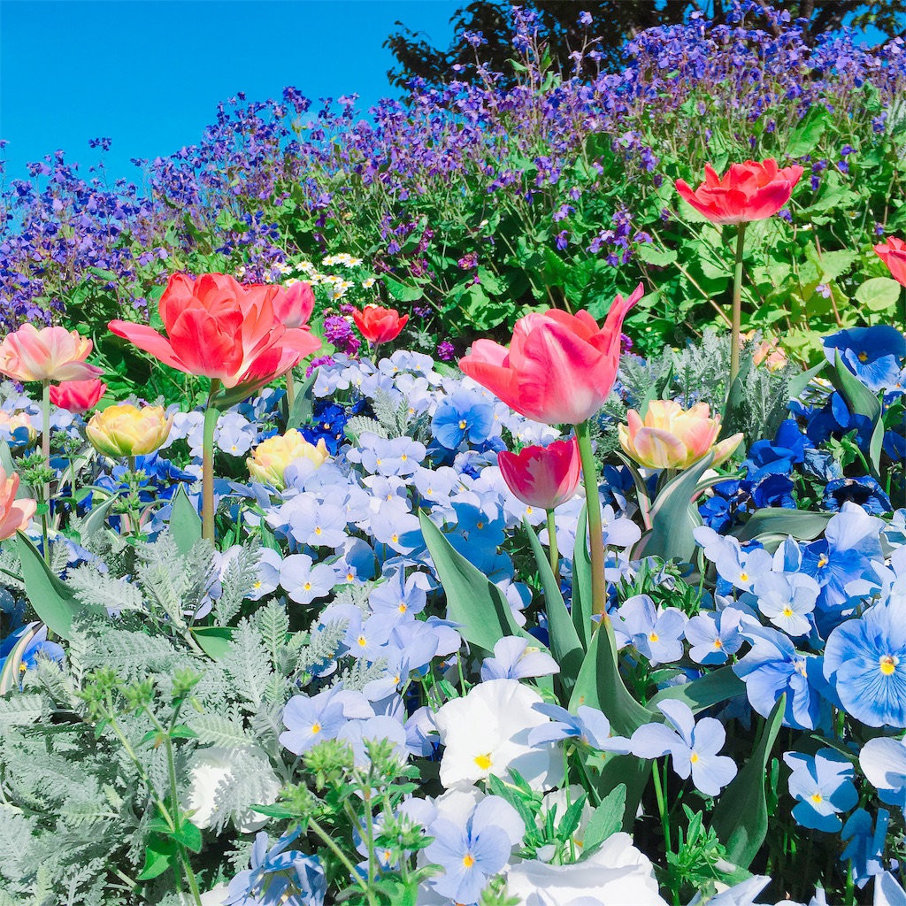 f:id:Liiliya:20190417001437j:image